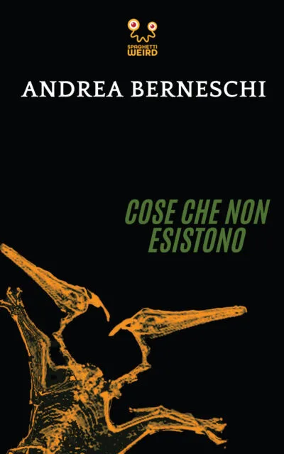 Cover Cose che non esistono - Berneschi