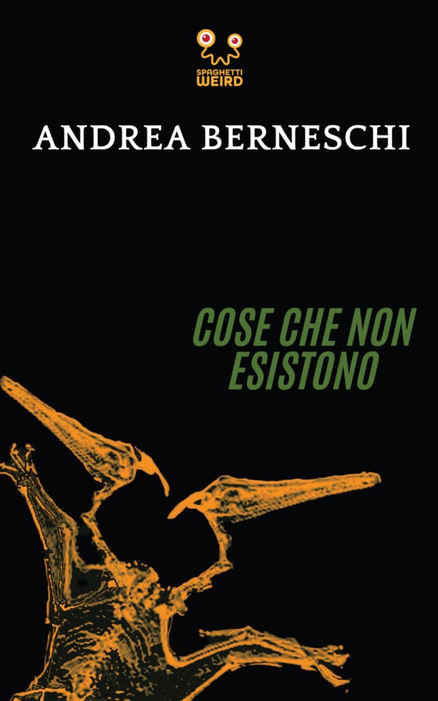 Cover Cose che non esistono - Berneschi Cover Cose che non esistono - Berneschi